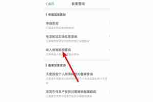 个人所得税怎么查看年收入缴税明细