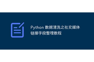 Python 数据清洗之社交媒体链接字段整理教程