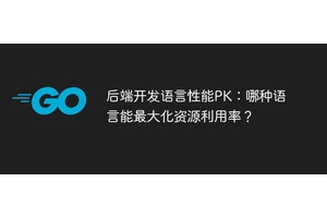 后端开发语言性能PK：哪种语言能最大化资源利用率？