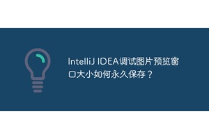 IntelliJ IDEA调试图片预览窗口大小如何永久保存？