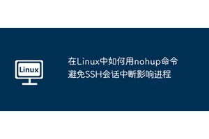 在Linux中如何用nohup命令避免SSH会话中断影响进程