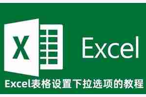Excel表格下拉选项怎么设置 Excel表格设置下拉选项的教程