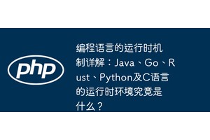 编程语言的运行时机制详解：Java、Go、Rust、Python及C语言的运行时环境究竟是什么？