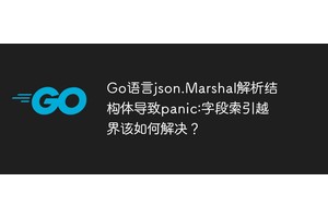 Go语言json.Marshal解析结构体导致panic:字段索引越界该如何解决？