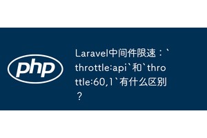 Laravel中间件限速：`throttle:api`和`throttle:60,1`有什么区别？