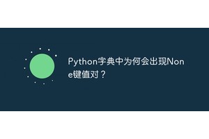 Python字典中为何会出现None键值对？