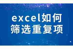 Excel怎么筛选重复项 Excel筛选重复项的方法