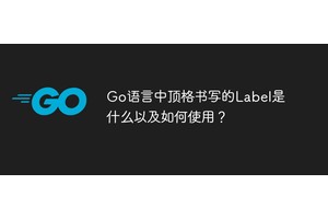 Go语言中顶格书写的Label是什么以及如何使用？