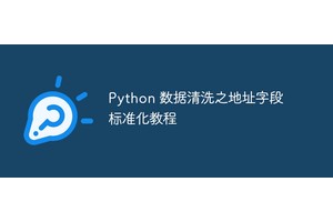 Python 数据清洗之地址字段标准化教程
