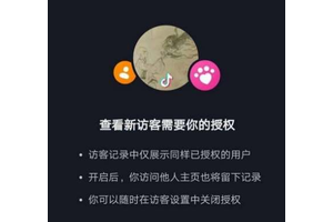 抖音极速版不登陆看别人主页有记录吗