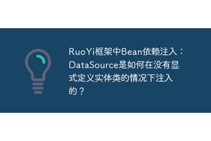 RuoYi框架中Bean依赖注入：DataSource是如何在没有显式定义实体类的情况下注入的？