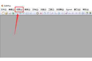 Editplus怎么显示空白字符
