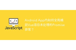 Android App内如何全局捕获Vue项目未处理的Promise异常？