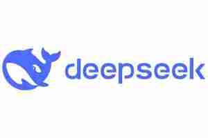 deepseek网页版入口
