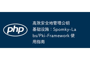 高效安全地管理公钥基础设施：Spomky