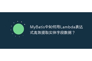 MyBatis中如何用Lambda表达式高效提取实体字段数据？