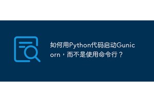 如何用Python代码启动Gunicorn，而不是使用命令行？