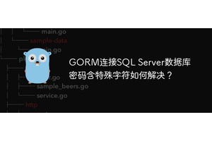GORM连接SQL Server数据库密码含特殊字符如何解决？