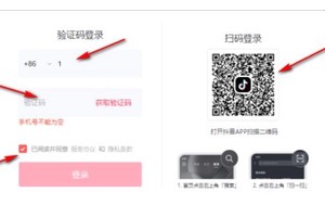 抖音直播伴侣怎么添加文字