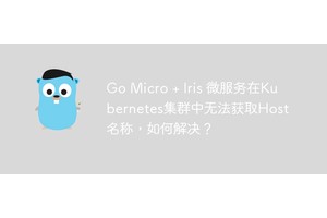 Go Micro + Iris 微服务在Kubernetes集群中无法获取Host名称，如何解决？